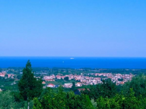 Alloggi Vacanze Etna Paradiso Taormina Fiumefreddo Di Sicilia